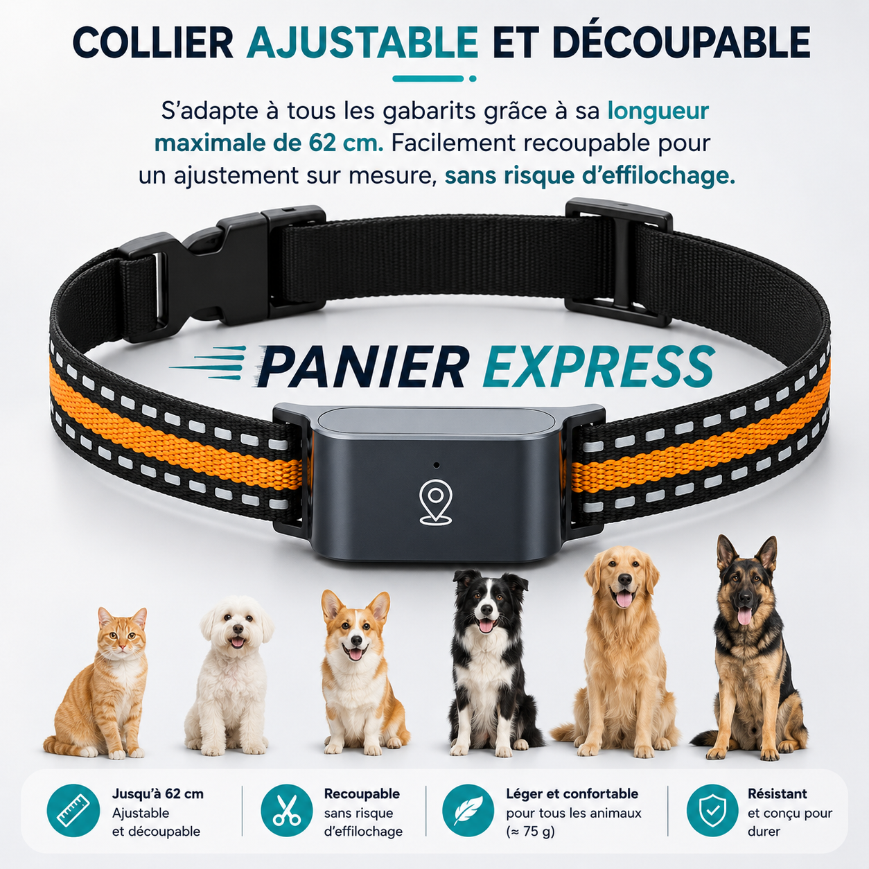Panier Express – Collier GPS Chat Sans Abonnement & Localisation en Temps Réel