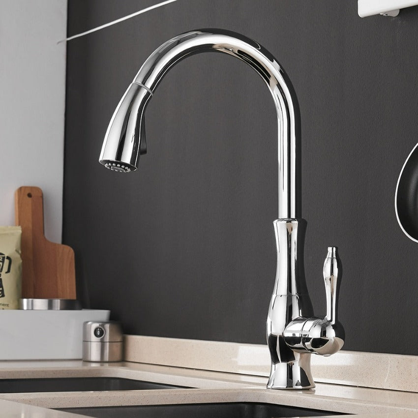 Robinet Cuisine Design Extensible Premium