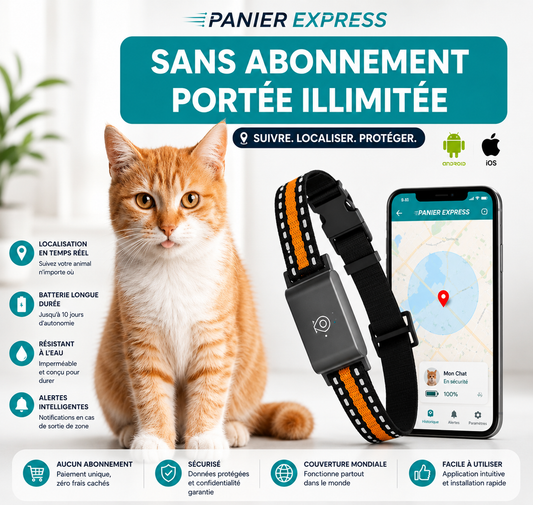 Panier Express – Collier GPS Chat Sans Abonnement & Localisation en Temps Réel