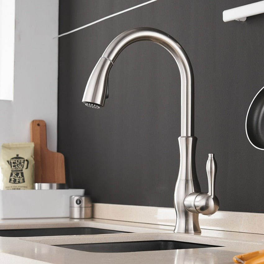 Robinet Cuisine Design Extensible Premium